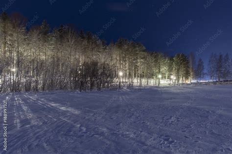  Ljuset Från Skogen En Överväldigande Visuell Symfoni Av Naturlig Lyster